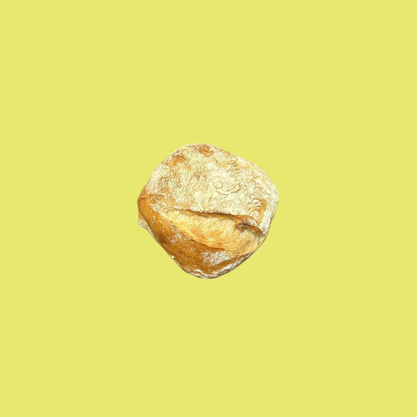 Ciabatta Roll 