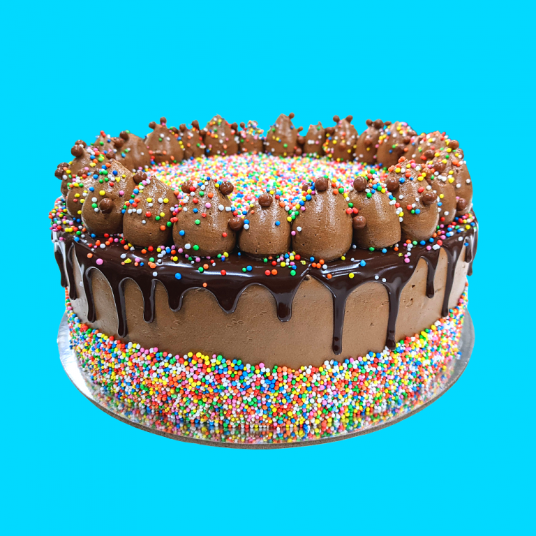 Chocolate Sprinkles Cake Candied Bakery
